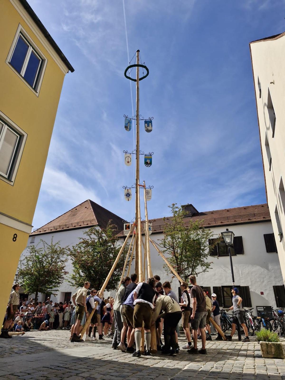 Oh Mai, was für ein Baum! Oh Mai, was für ein Baum!