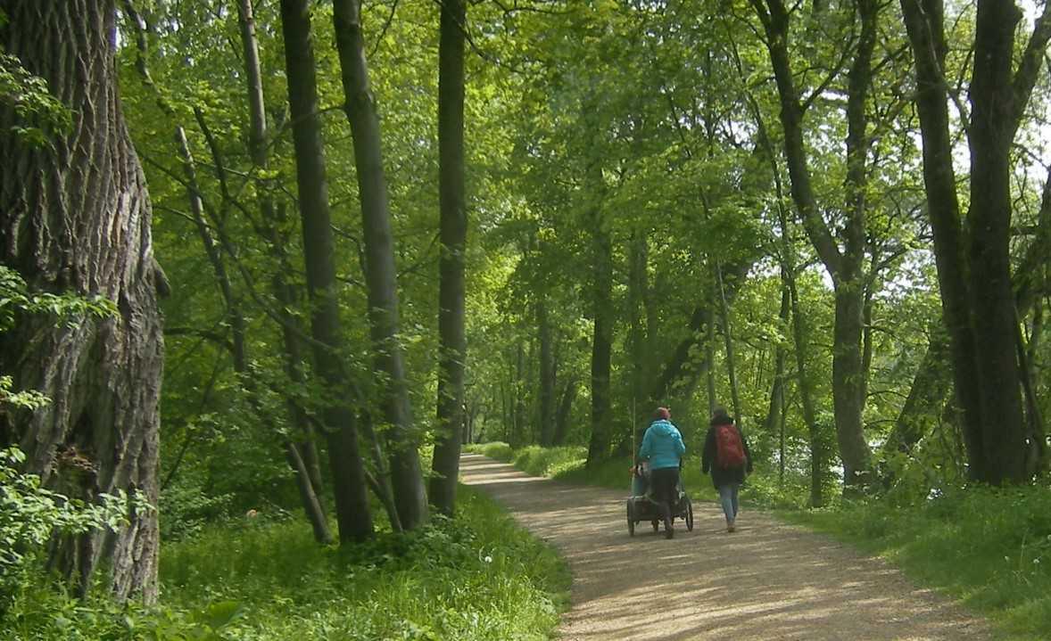 Sonntagsspaziergang an der Isar