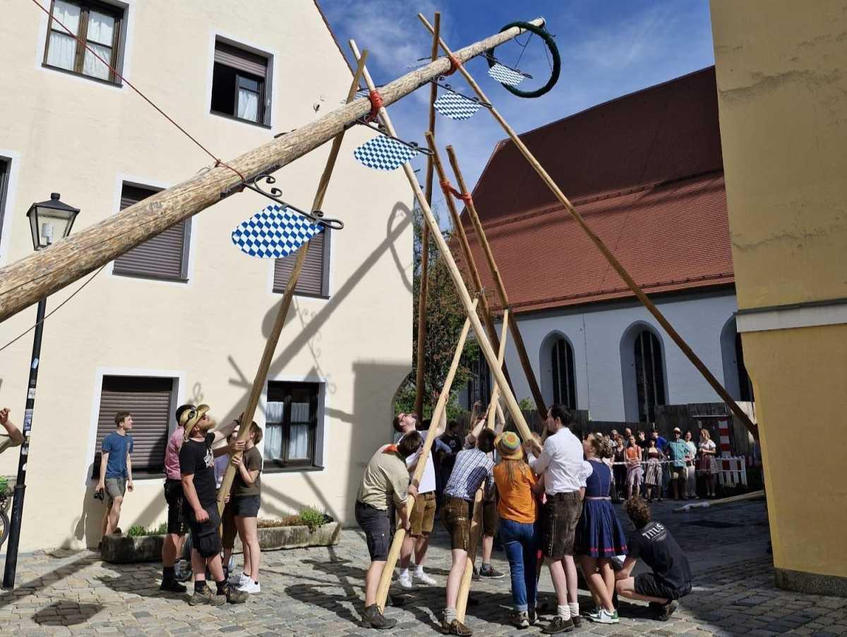 Der Maibaum wird aufgestellt