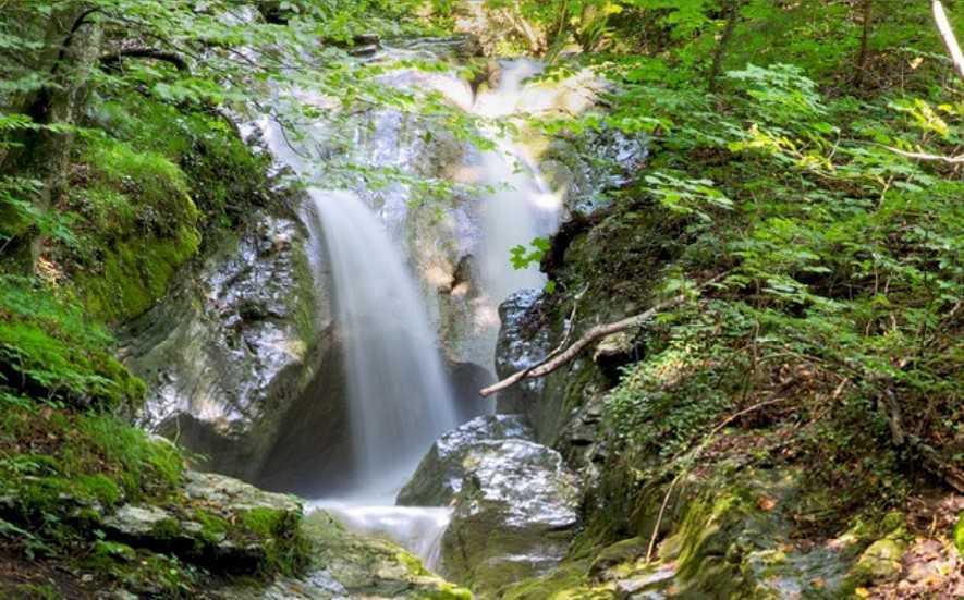 Vertraue auf Gott Vertraue auf Gott