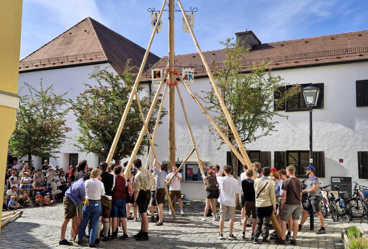 Oh Mai, ein Baum! Oh Mai, ein Baum!