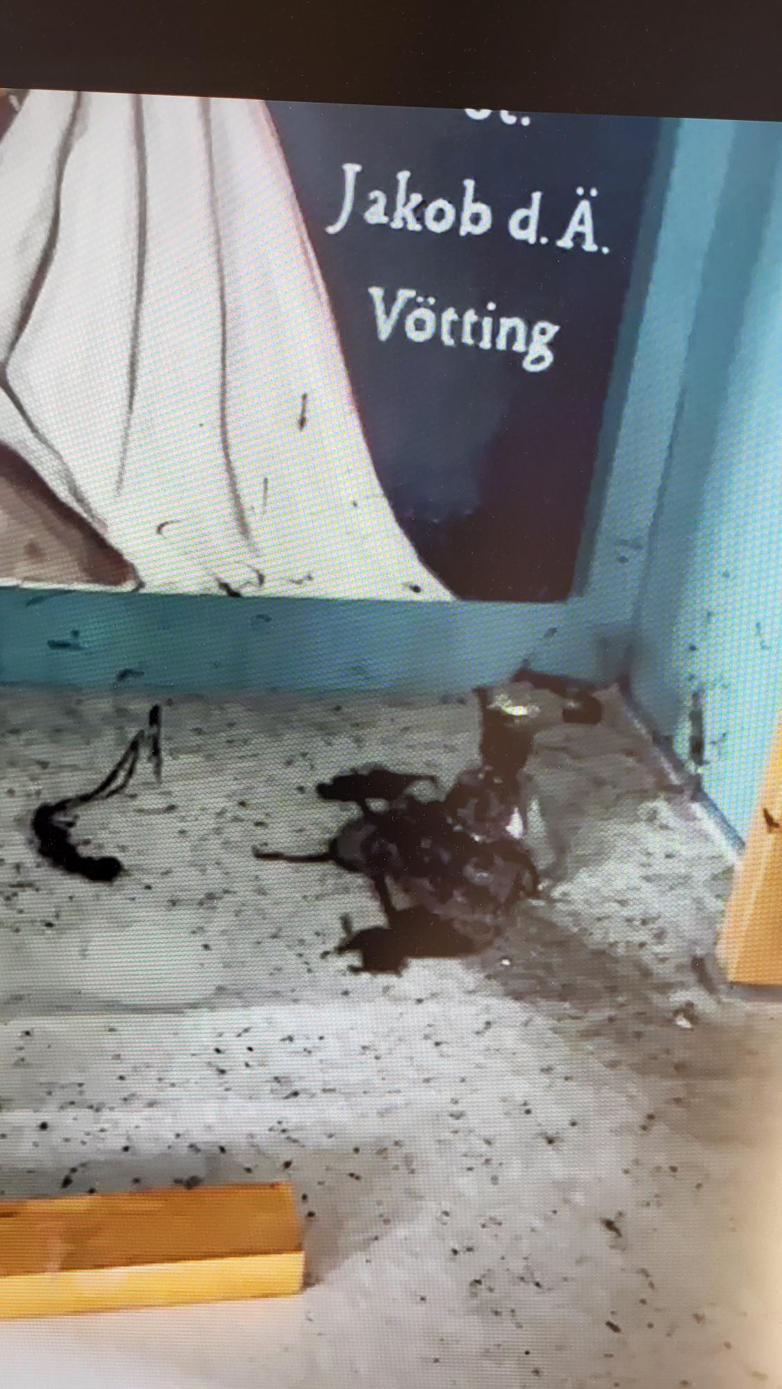 Brandschäden in den Kirchen Brandschäden in den Kirchen