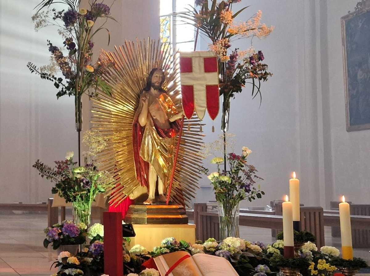 Die Orgel in ihrer ganzen Vielfalt