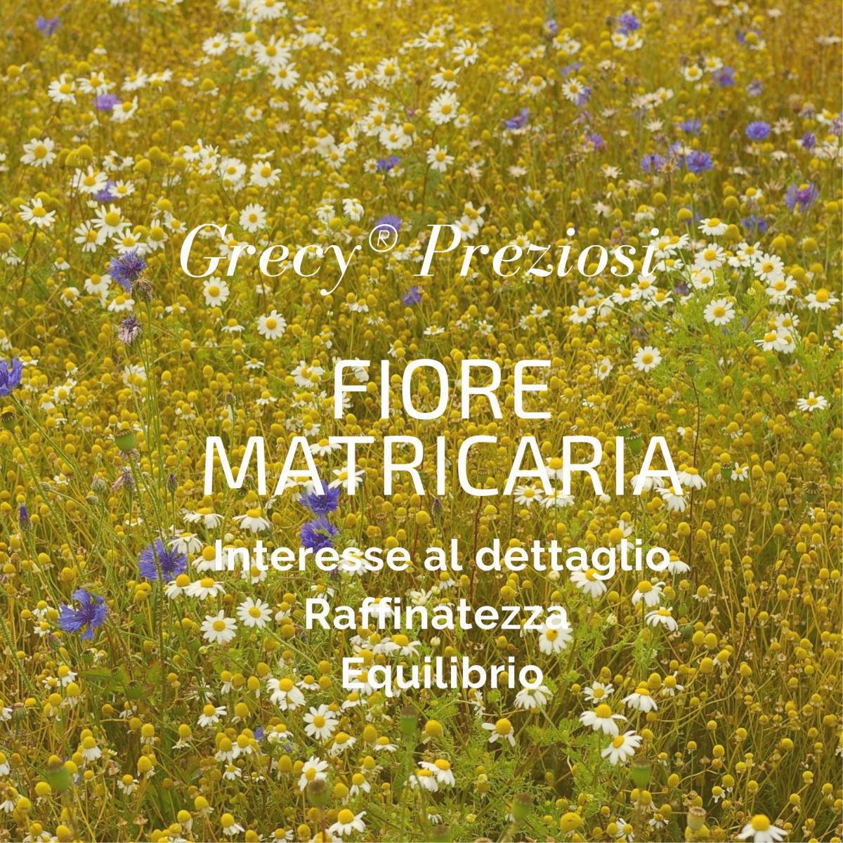 L'eleganza e il dettaglio dei Gemelli L'eleganza e il dettaglio dei Gemelli