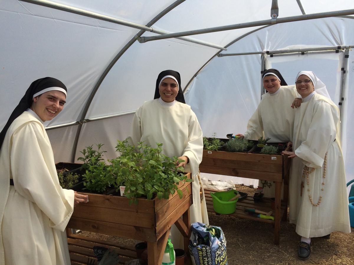 Profesión Temporal Profesión Temporal
