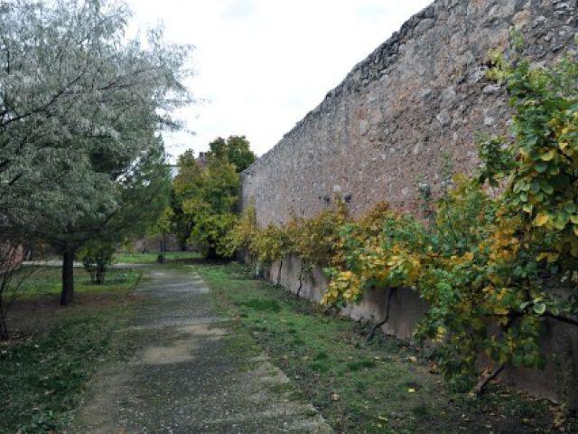 Huerta