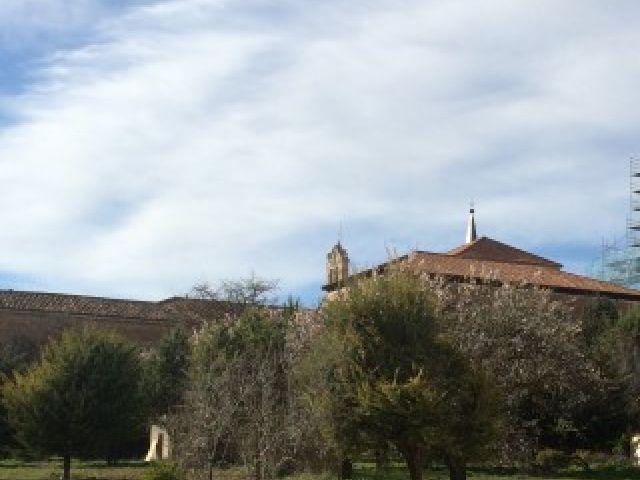 Monasterio desde huerta