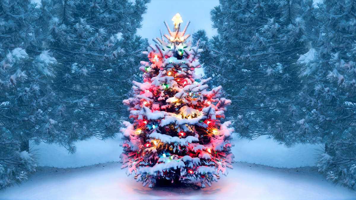 100 фильмов для создания новогоднего настроения