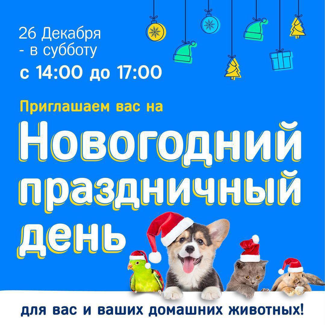 В гостях у доктора Айболита 👩⚕️ В гостях у доктора Айболита 👩⚕️