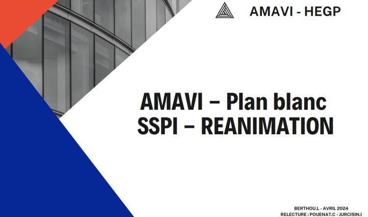 AMAVI SSPI -USC - REA