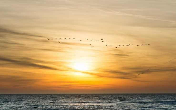 Om ensamhet, sorg, längtan och stress Om ensamhet, sorg, längtan och stress