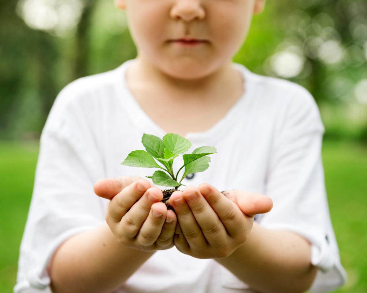 Exercice pour mon enfant - L'arbre à souhaits