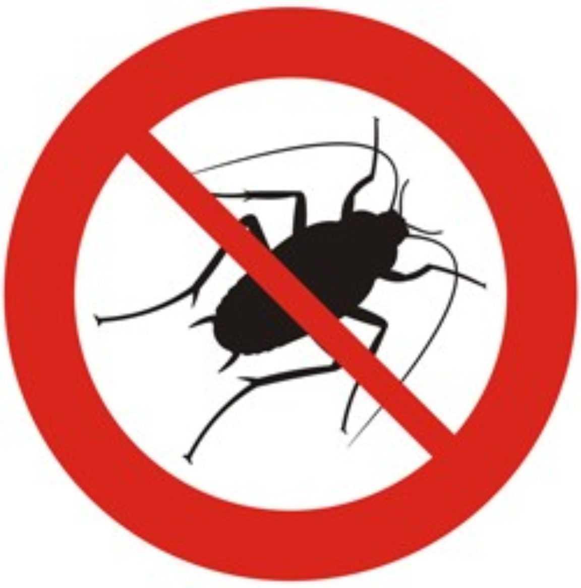 AVVISO DI DEBLATTIZZAZIONE - INIZIO INTERVENTO ORE 23:00 DEL 15/06/2026 FINE INTERVENTO ORE 05:00 DEL 16/06/2026