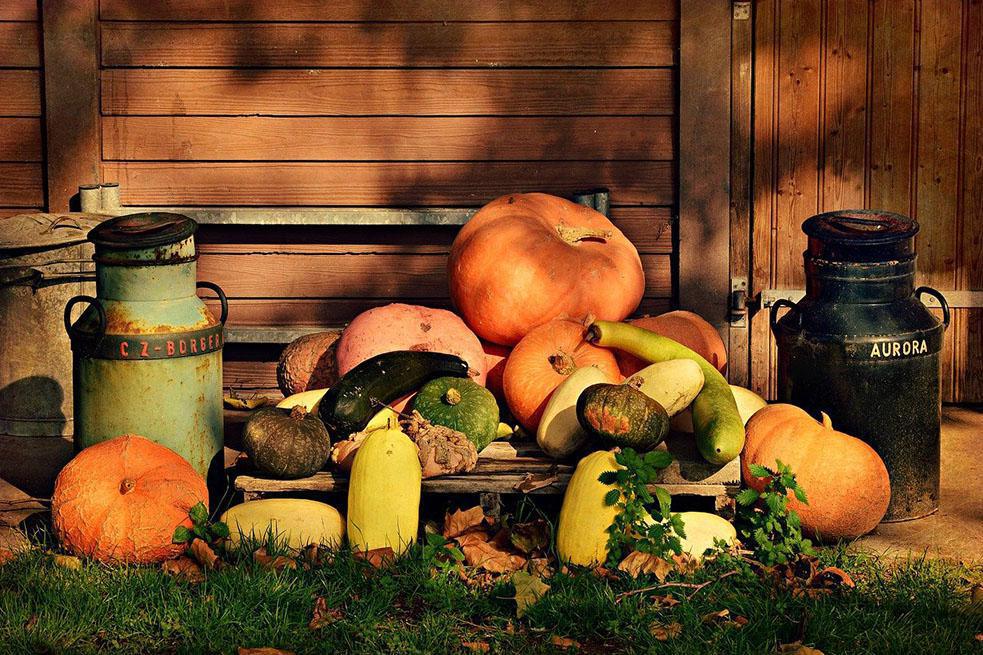 여름에 지친 피부, 호박으로 살린다! 여름에 지친 피부, 호박으로 살린다!