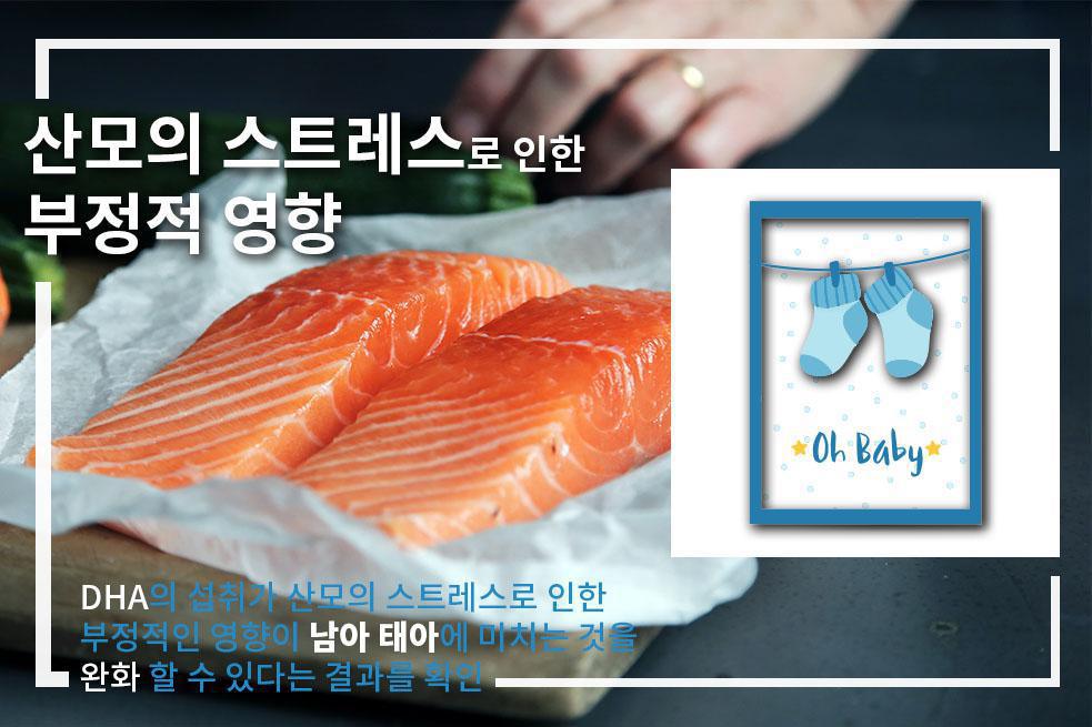 DHA 섭취가 산모 스트레스로 인한 태아에 미치는 악영향 완화 DHA 섭취가 산모 스트레스로 인한 태아에 미치는 악영향 완화