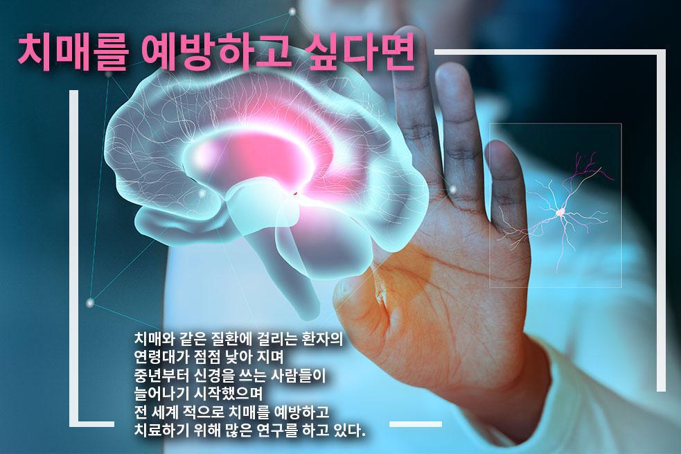 치매를 예방하고 싶다면 오메가 3와 비타민 B군을 챙겨먹자! 치매를 예방하고 싶다면 오메가 3와 비타민 B군을 챙겨먹자!