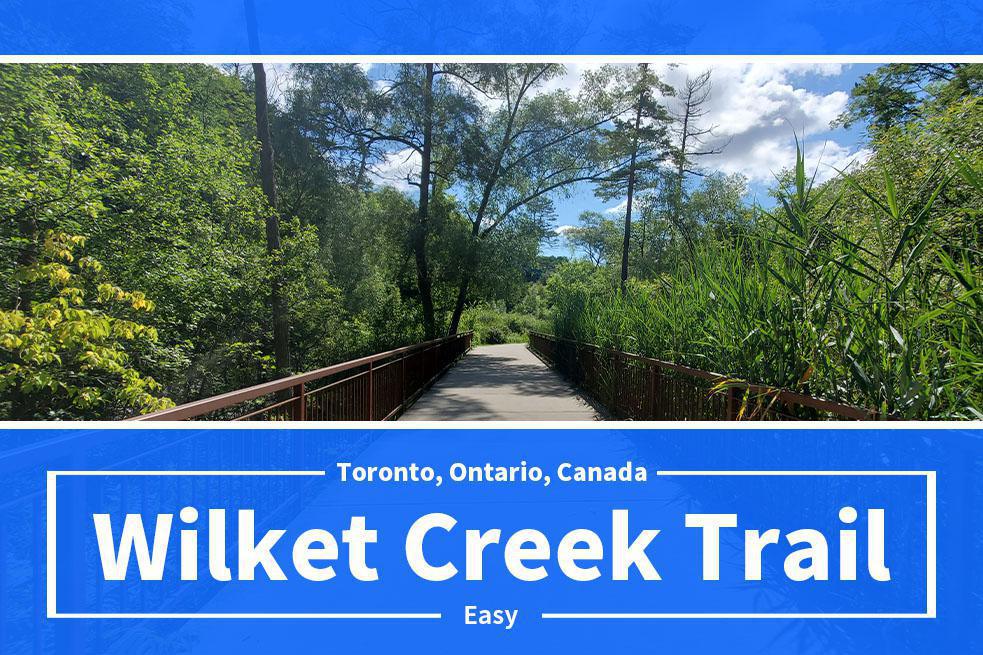 Wilket Creek Trail