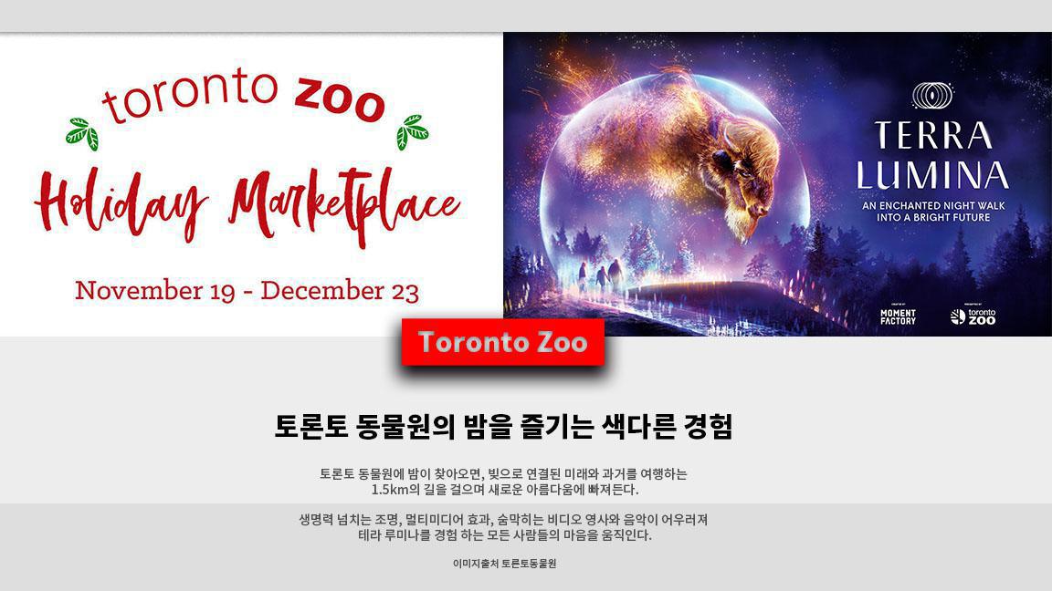 토론토 동물원의 밤을 즐기는 색다른 경험 토론토 동물원의 밤을 즐기는 색다른 경험