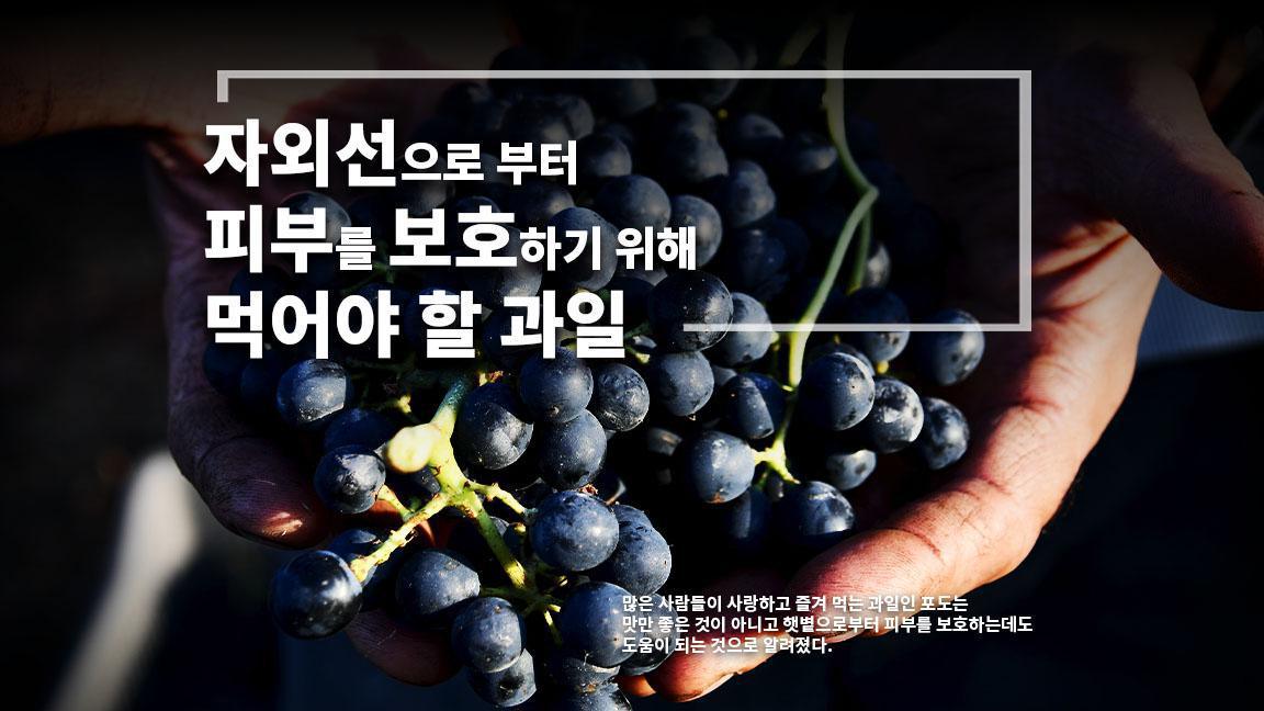자외선으로 부터 피부를 보호하기 위해 먹어야 할 과일 자외선으로 부터 피부를 보호하기 위해 먹어야 할 과일