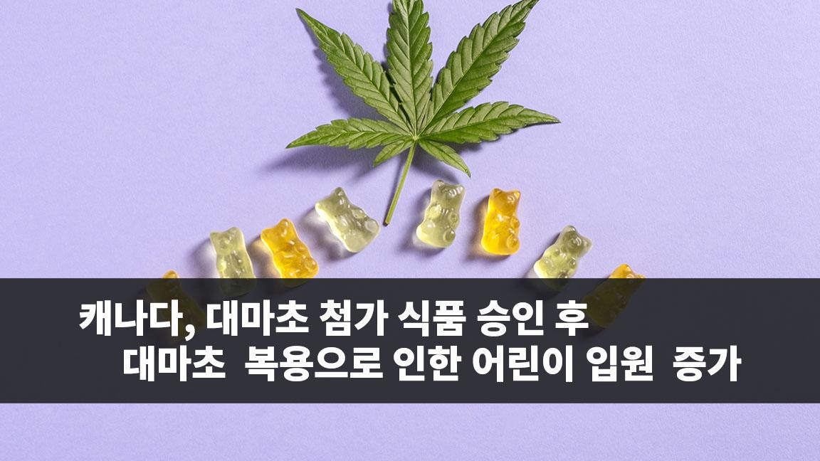 캐나다, 대마초 첨가 식품 승인 후 대마초 복용으로 인한 어린이 입원 증가