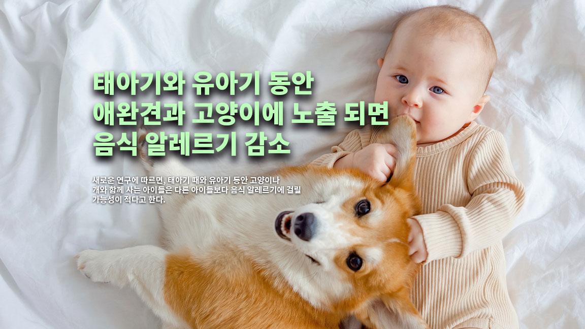 태아기와 유아기 동안 애완견과 고양이에 노출 되면 음식 알레르기 감소 태아기와 유아기 동안 애완견과 고양이에 노출 되면 음식 알레르기 감소