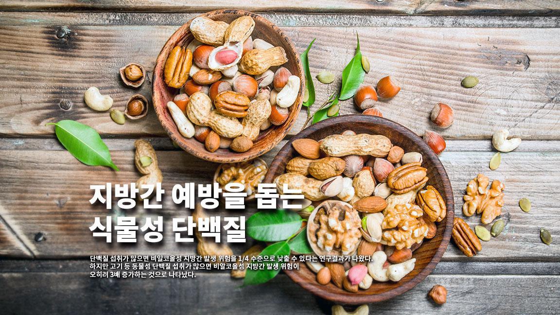 지방간 예방을 돕는 식물성 단백질 지방간 예방을 돕는 식물성 단백질