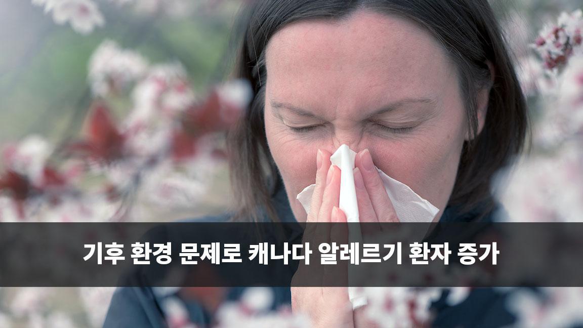 기후 환경 문제로 캐나다 알레르기 환자 증가 기후 환경 문제로 캐나다 알레르기 환자 증가
