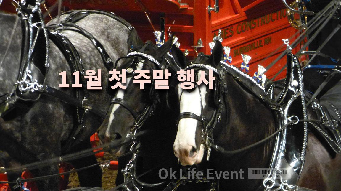 11월 첫 주말 행사 11월 첫 주말 행사