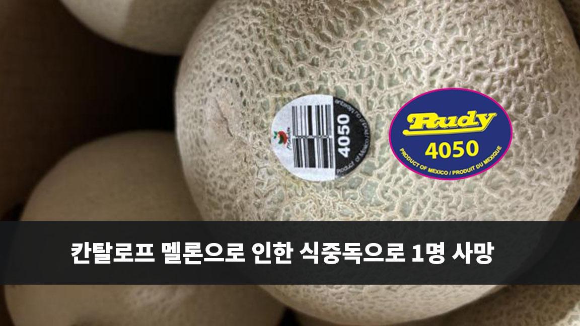 칸탈로프 멜론으로 인한 식중독으로 1명 사망 칸탈로프 멜론으로 인한 식중독으로 1명 사망