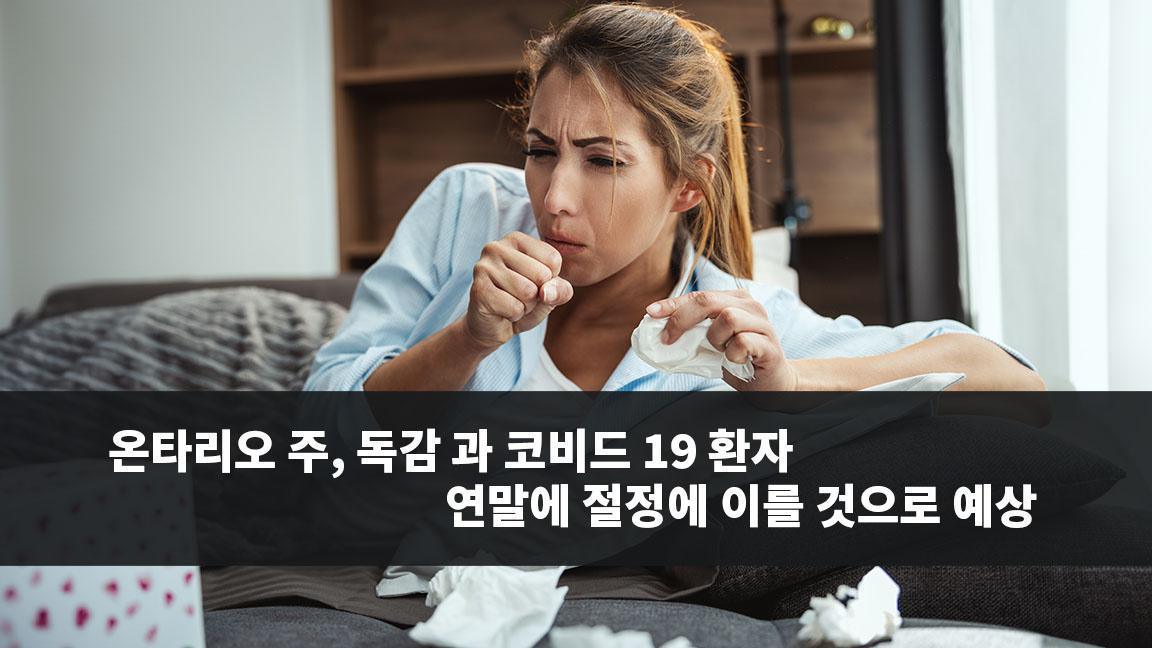 온타리오 주, 독감 과 코비드 19 환자 연말에 절정에 이를 것으로 예상 온타리오 주, 독감 과 코비드 19 환자 연말에 절정에 이를 것으로 예상