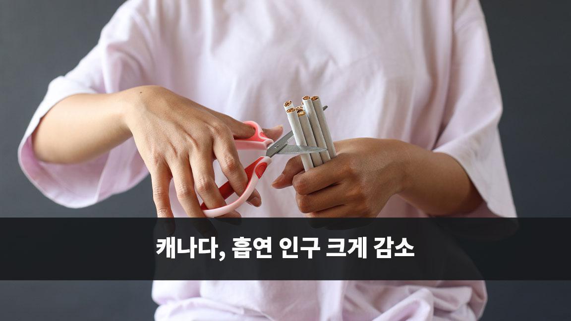 캐나다, 흡연 인구 크게 감소 캐나다, 흡연 인구 크게 감소