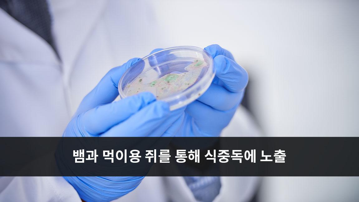 뱀과 먹이용 쥐를 통해 식중독에 노출 뱀과 먹이용 쥐를 통해 식중독에 노출