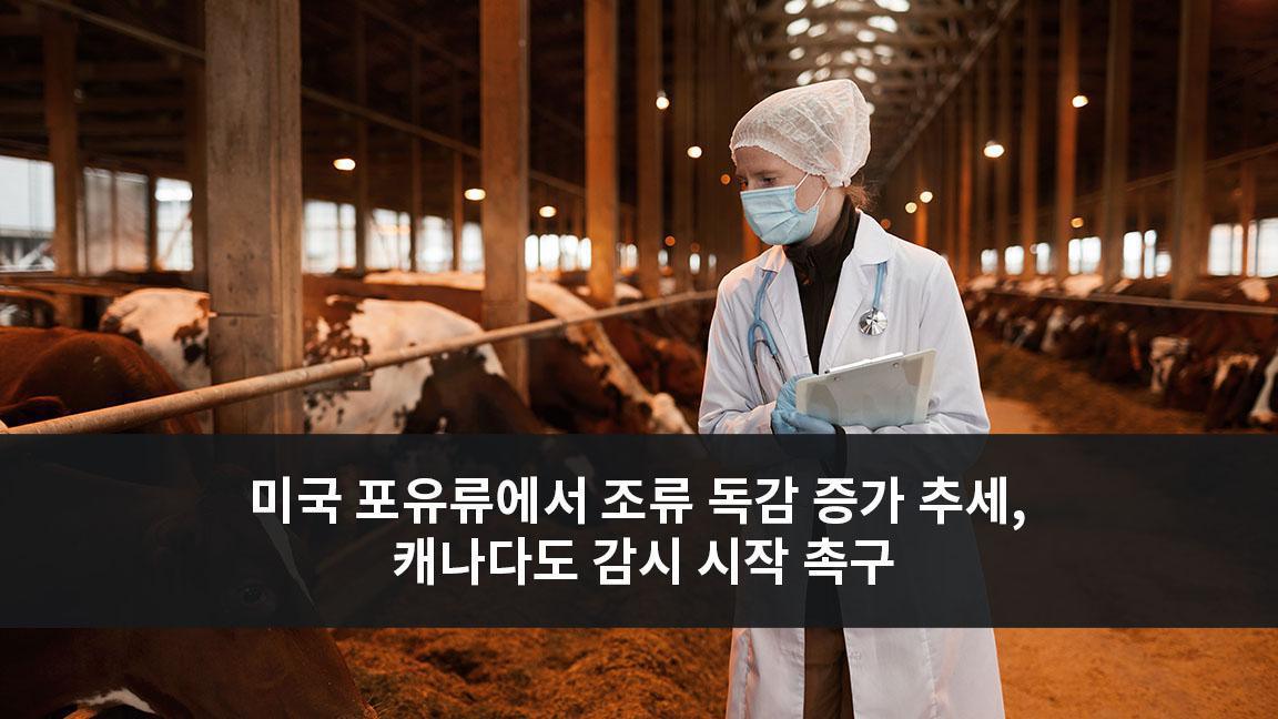 미국에서 포유류에서 조류 독감 증가 추세, 캐나다도 조류독감 감시 시작할 것 촉구 미국에서 포유류에서 조류 독감 증가 추세, 캐나다도 조류독감 감시 시작할 것 촉구