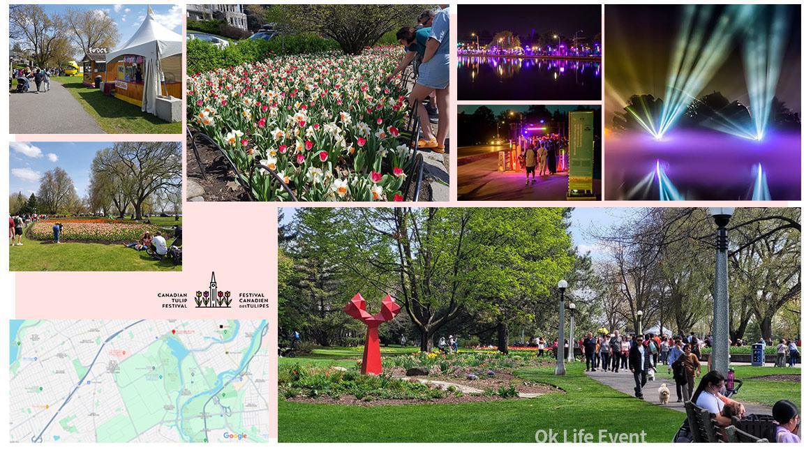 오타와 튤립 축제 오타와 튤립 축제