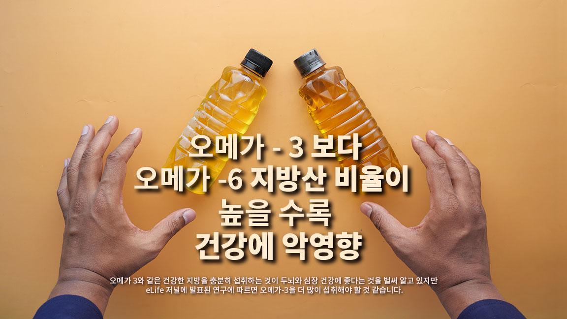 오메가 - 3 보다 오메가 -6 지방산 비율이 높을 수록 건강에 악영향