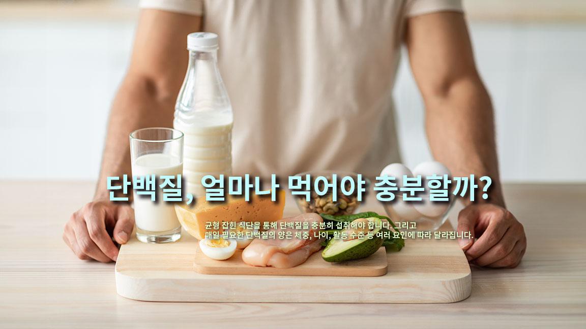 하루 단백질 얼마나 먹어야 충분한가요?