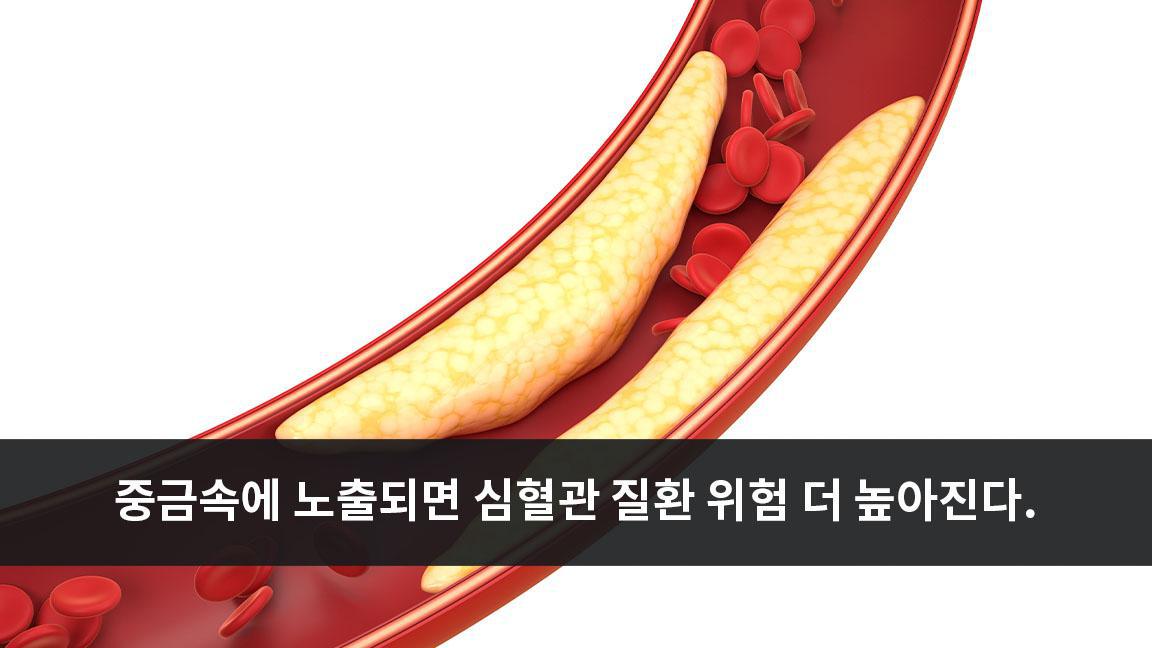 중금속에 노출되면 심혈관 질환 위험 더 높아진다.