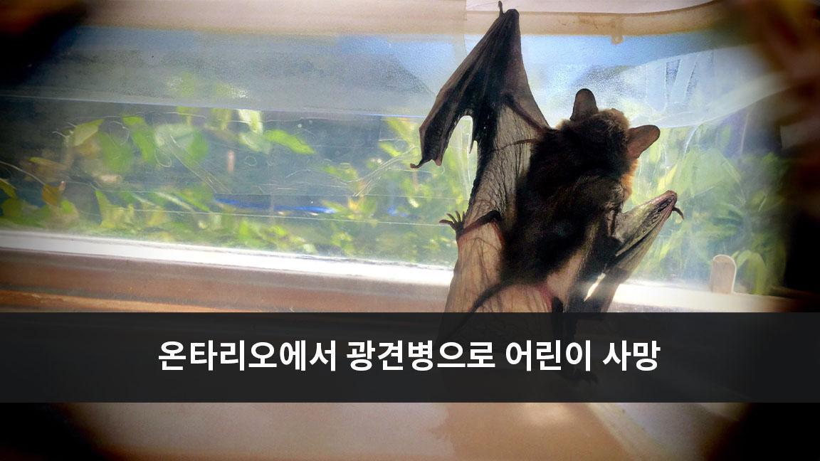 온타리오에서 광견병으로 어린이 사망 온타리오에서 광견병으로 어린이 사망