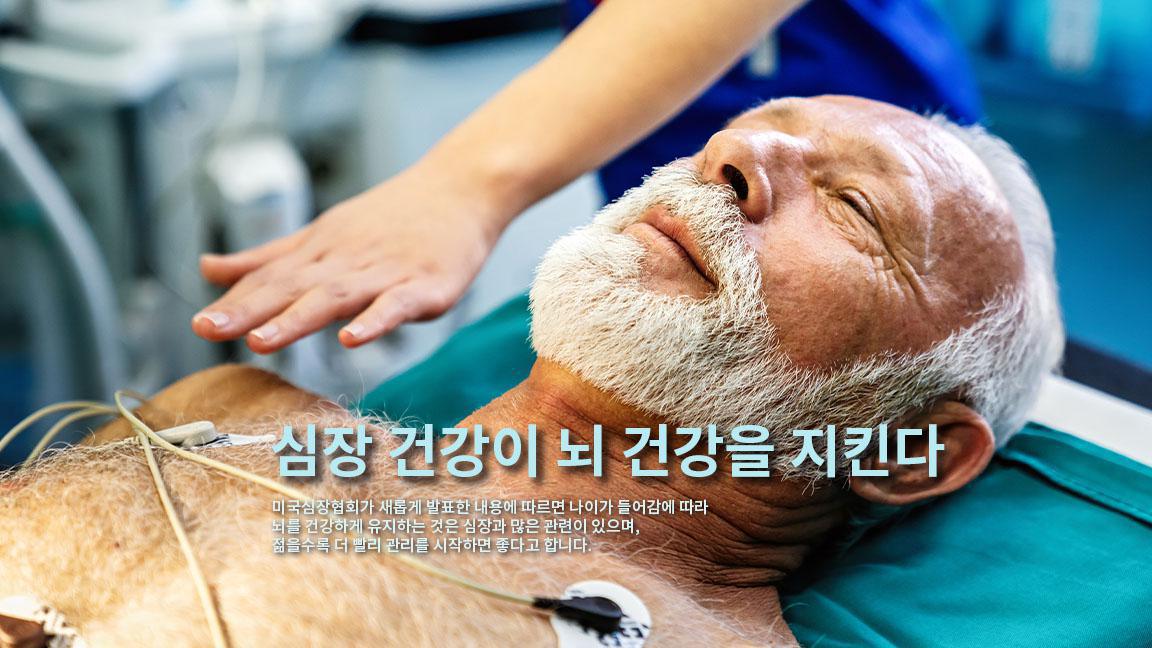 심장 건강이 뇌 건강을 지킨다 심장 건강이 뇌 건강을 지킨다