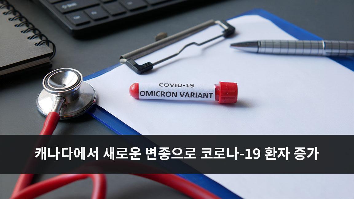 캐나다에서 새로운 변종으로 인한 코로나-19 환자 증가 캐나다에서 새로운 변종으로 인한 코로나-19 환자 증가