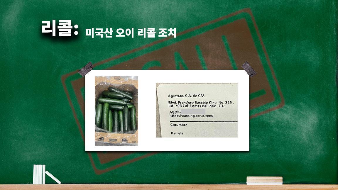 미국산 오이 리콜 조치 미국산 오이 리콜 조치