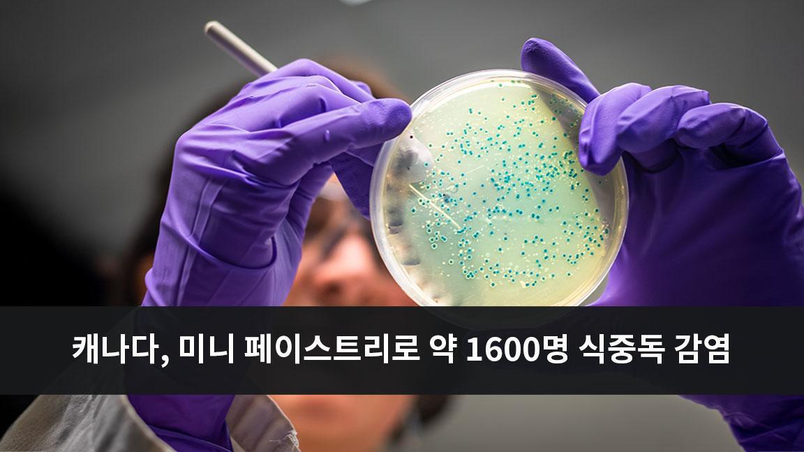 캐나다, 미니 페이스트리로 인해 약 1600명 식중독 감염 캐나다, 미니 페이스트리로 인해 약 1600명 식중독 감염