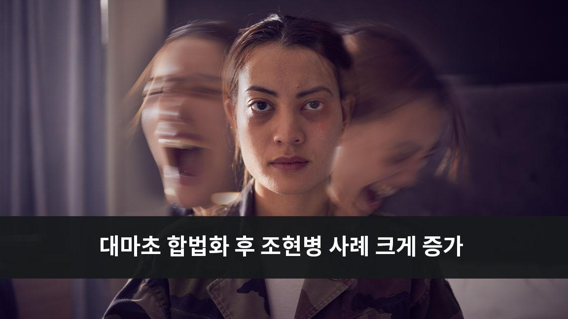 대마초 합법화 이후 대마초 중독과 관련된 조현병 사례 크게 증가 대마초 합법화 이후 대마초 중독과 관련된 조현병 사례 크게 증가