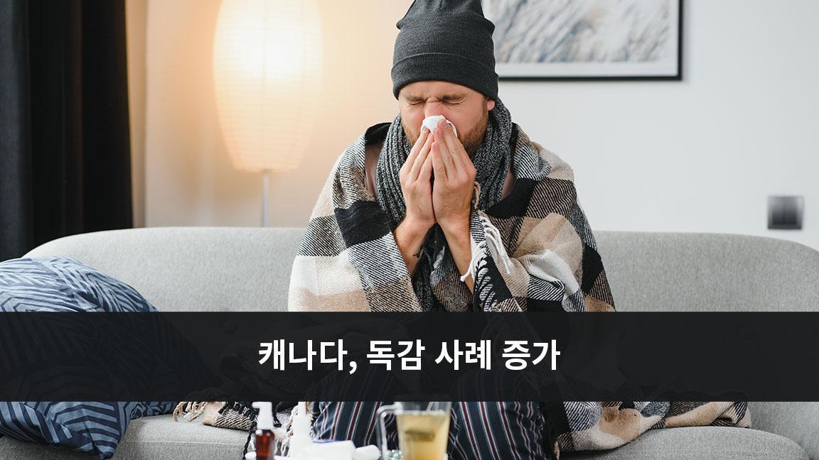 캐나다, 독감 사례 증가 캐나다, 독감 사례 증가