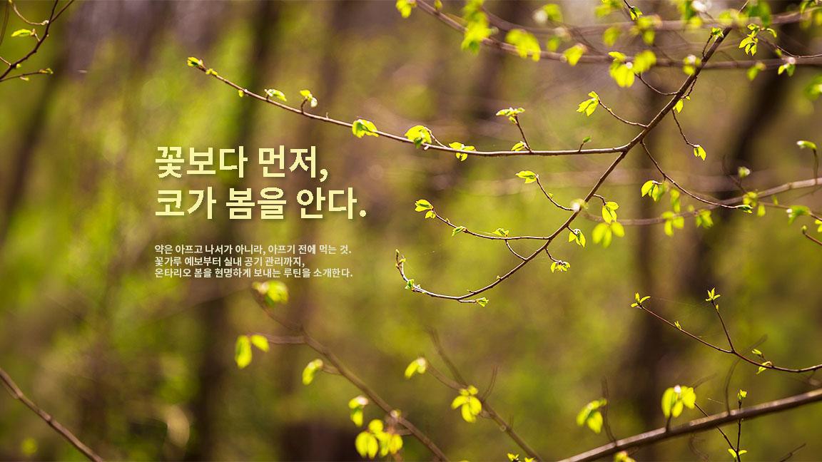 실내 공기부터 약 복용까지, 봄 알레르기 예방 루틴