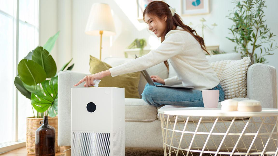 실내 공기부터 약 복용까지, 봄 알레르기 예방 루틴