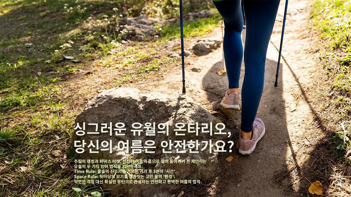 온타리오 진드기·모기 예방: 기피제보다 '귀가 후 점검' 온타리오 진드기·모기 예방: 기피제보다 '귀가 후 점검'