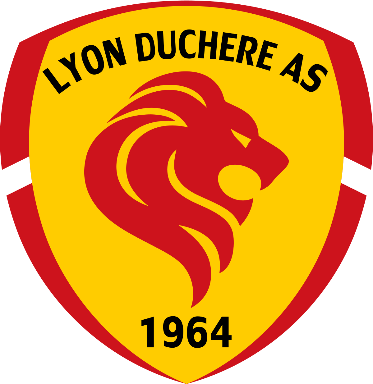 Lyon Duchère : Da Costa bien officialisé et avec une première recrue ?