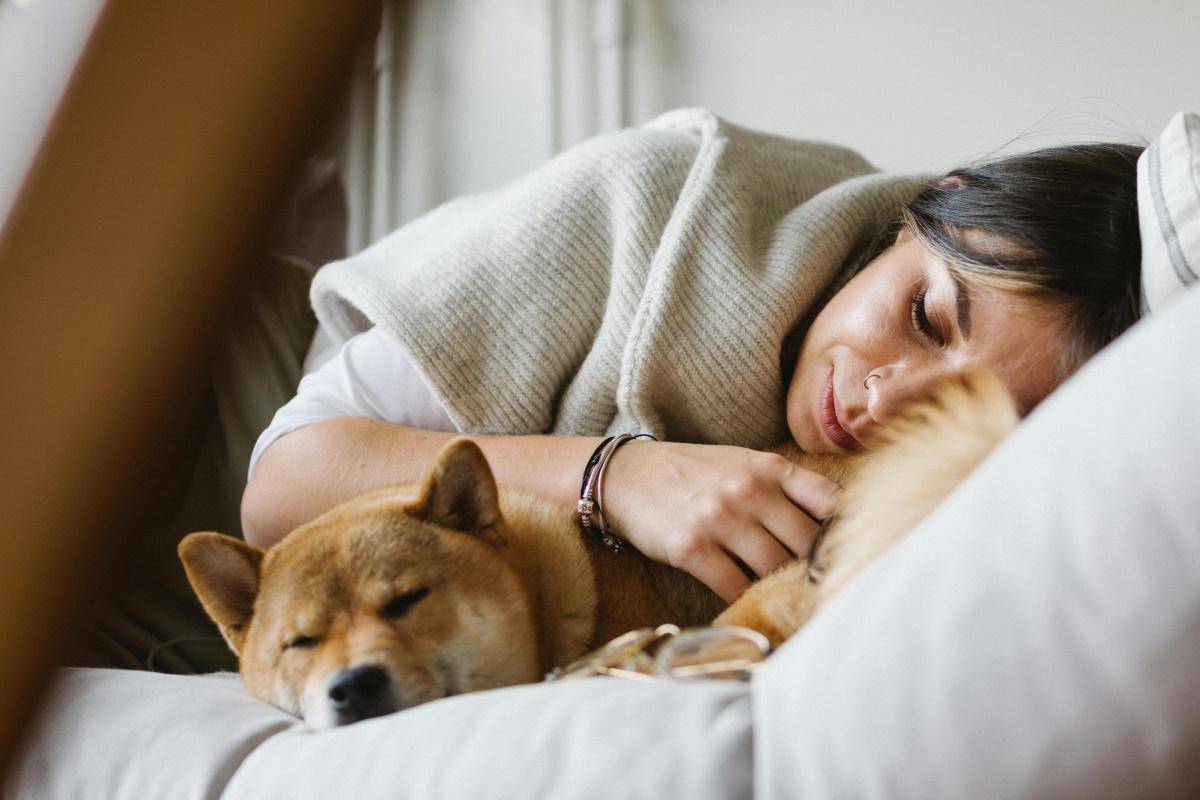 Rádio Pet é o primeiro canal com programação 24 horas destinada a cães e gatos clique aqui e saiba mais