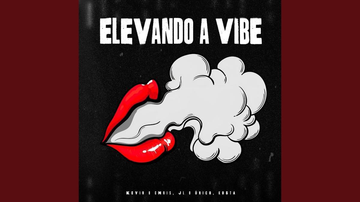 Elevando a Vibe - MC Kevin o Chris - Música e Letra